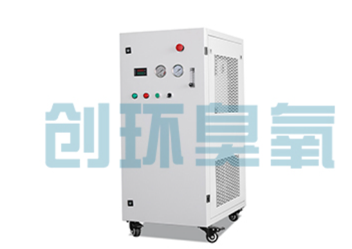 四平石斑鱼养殖水质调控完整指南：臭氧发生器配置与操作步骤