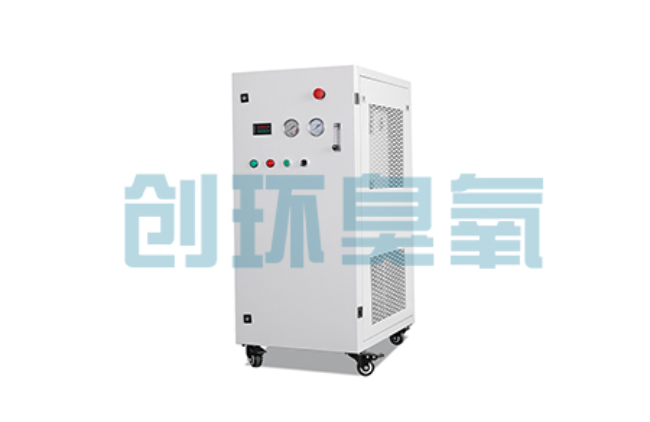 四平比传统换水更高效？臭氧发生器在石斑鱼养殖中的水质净化原理解析